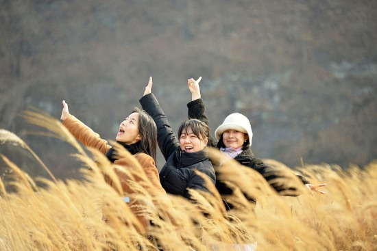 포토뉴스]안동 병산서원 갈대숲 황금물결 관광객 오라고 손짓하네!