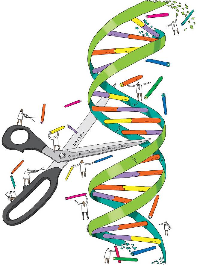 일러스트 | 김상민 기자