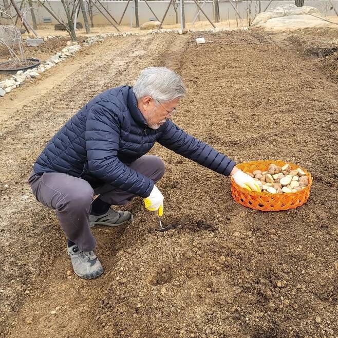 문재인 전 대통령이 17일 자신의 텃밭에 감자를 심는 모습을 공개했다. /문 전 대통령 페이스북