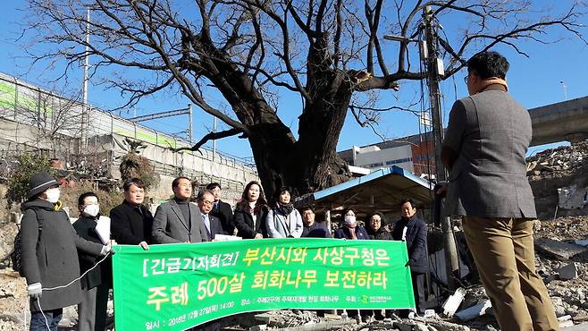 2018년 12월27일 재개발로 위기에 몰린 부산 사상구 ‘500살 회화나무’ 보전을 위해 주민·시민단체가 모였다. 이런 노력에도 재개발조합과 시공사는 2019년 2월 이 노거수를 경남 진주의 한 농원으로 옮겼다. 이 과정에서 가지와 뿌리가 대부분 잘려나갔다. 이성근 제공