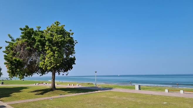 오만의 해안선은 1,700km에 이른다고 한다