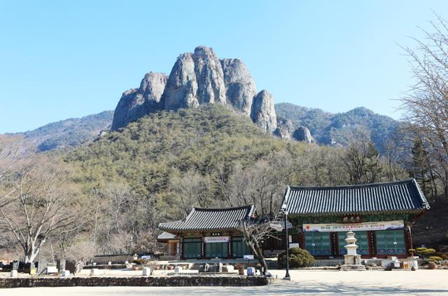 주왕산 입구 대전사로 들어서면 정면으로 우람하고 기묘한 바위 봉우리가 단번에 눈길을 잡는다. ⓒ박준규