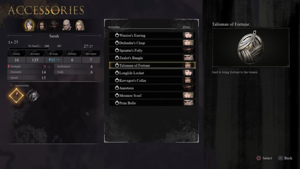 액세서리는 고유한 부가 스탯과 버프 효과를 가지고 있다&nbsp;