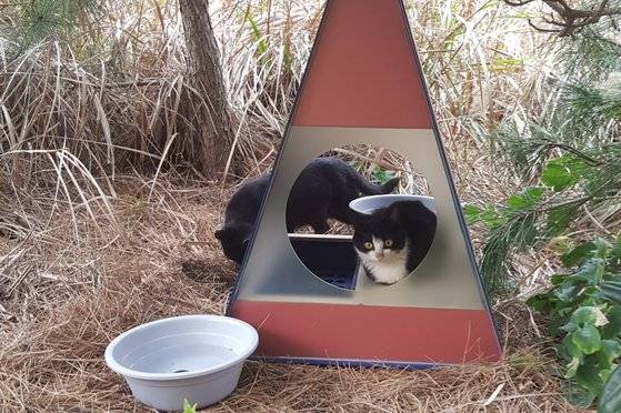 마라도 주민들이 설치한 길고양이 쉼터. 동물자유연대 제공
