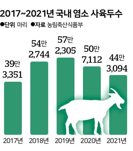 국내 염소 사육두수. 그래픽= 신동준 기자