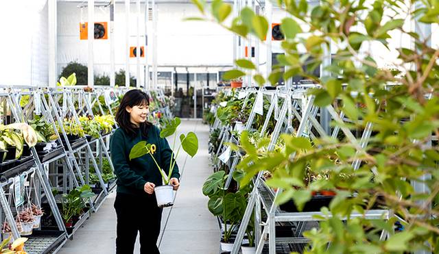 ② 충남 천안시산림조합 임산물유통센터에는 1000여가지 화초류가 진열돼 있다.