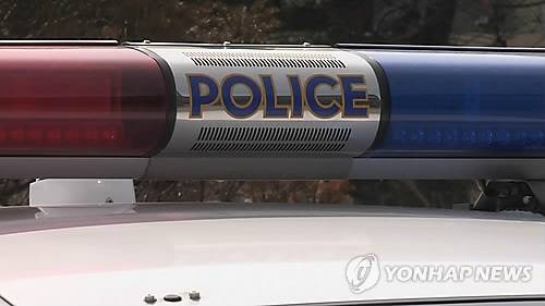 경찰차 [연합뉴스TV 캡처]