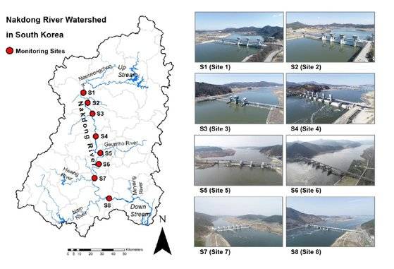 국립환경과학원 낙동강 물 환경연구소의 낙동강 조사지점. [자료: Environmental Technology and Innovation, 2023]