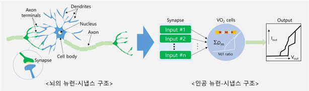 뇌 뉴런-시냅스 구조와 이를 모방한 인공 뉴런-시냅스 구조