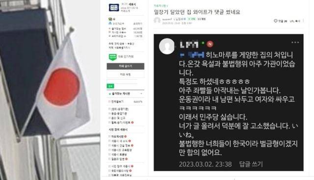 3·1절에 세종시 한 아파트에 내걸린 일장기(왼쪽)와 해당 아파트 거주자로 추정되는 인물이 지역 온라인 커뮤니티에 올린 글. 뉴스1