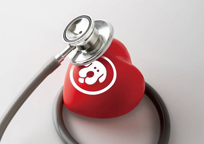 그래픽=강지호 기자