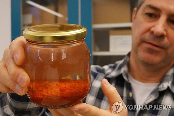 난파선에서 발견된 향신료 (로이터=연합뉴스) 2일(현지시간) 스웨덴 룬드대 브렌던 폴리가 사프란이 담긴 병을 들어 보이고 있다. 2023.3.2 [재판매 및 DB 금지]