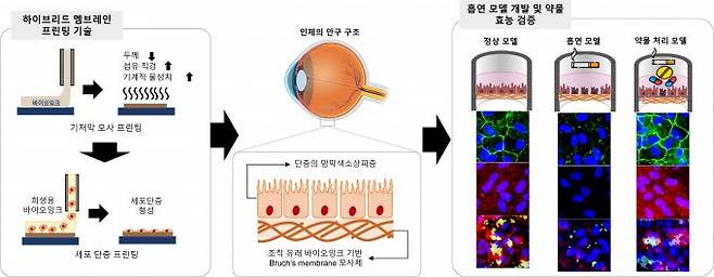 개발된 인공 눈 관련 모식도. 포스텍 제공