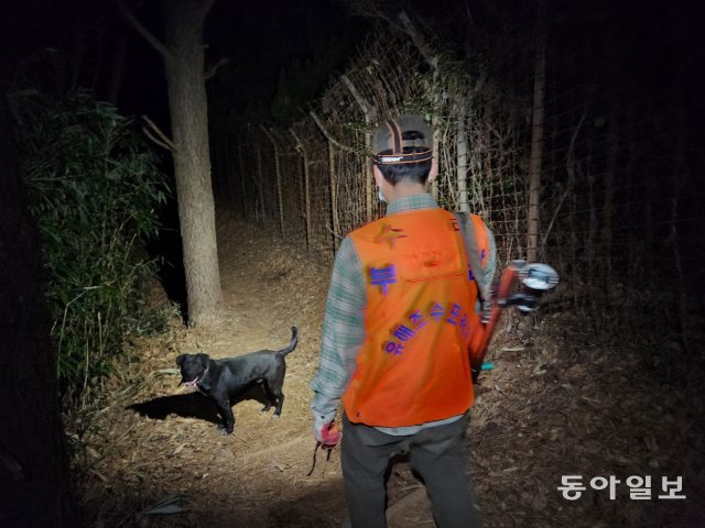 최민석 엽사(42)가 지난달 27일 밤 엽견들과 함께 멧돼지를 포획하기 위해 부산 화지산 중턱을 수색하고 있다. 부산=김화영 기자 run@donga.com