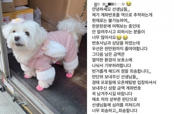 경태가 아프다는 것을 내세워 누리꾼들로부터 후원금을 뜯어낸 호소글. /사진=인스타그램 갈무리