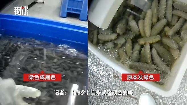 중국의 한 해산물 가공업체가 살균제로 해삼, 전복 등을 세척한 것으로 드러났다. (신경보 갈무리)