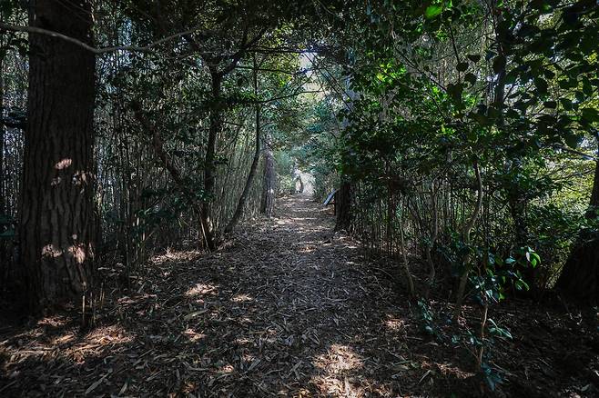 당산 숲길
