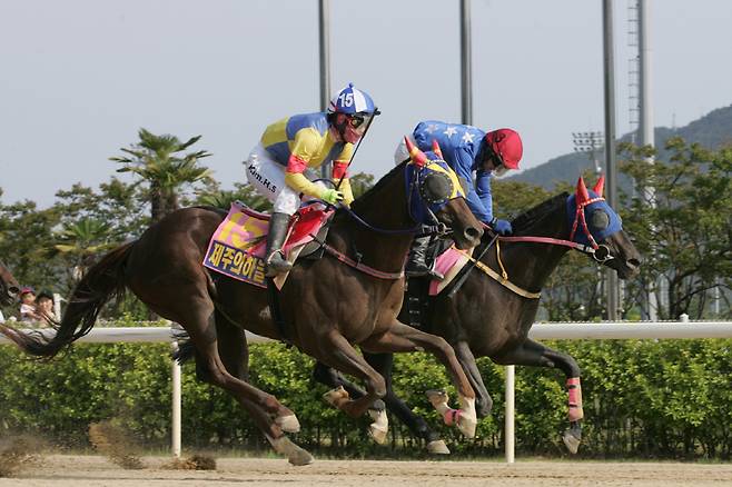 2017년 코리안오크스에서 김혜선 기수와 제주의하늘(왼쪽)이 우승하는 모습. 사진제공=한국마사회