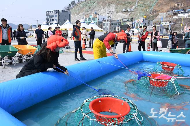 영덕대게축제.