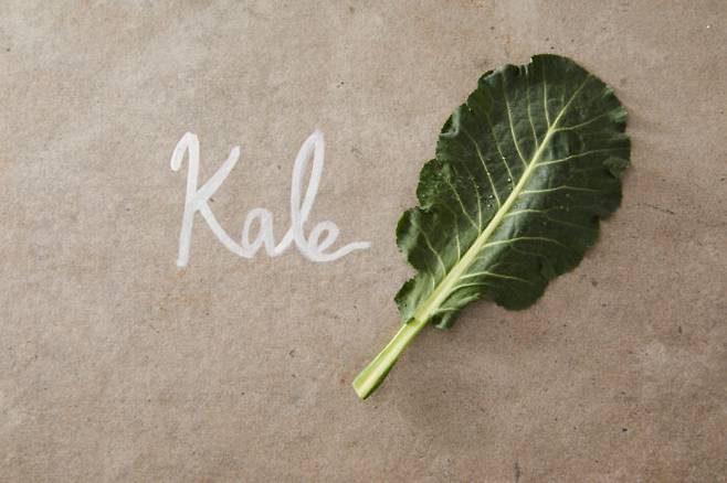 [사진=클립아트코리아]