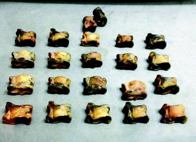 2000년 전 흉노의 귀족 무덤에서 발견된, 뼈로 만든 주사위인 샤가이. 강인욱 교수 제공