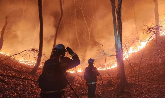 16일 경북 상주시의 한 야산에서 산불이 발생해 소방대원들이 진화작업을 벌이고 있다. 산림청 제공