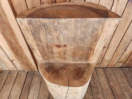 금강송과 일반 소나무(아래 사진) 줄기 단면. 짙은 부분이 송진인데 금강송이 일반 소나무보다 송진 함량이 8배 가까이 많다. [사진 박은영]