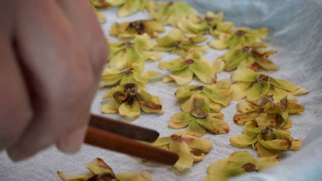 목련꽃차 만들기, 꽃의 수분을 날려주는 작업으로 저온에서 덖고 식히고를 반복한다.