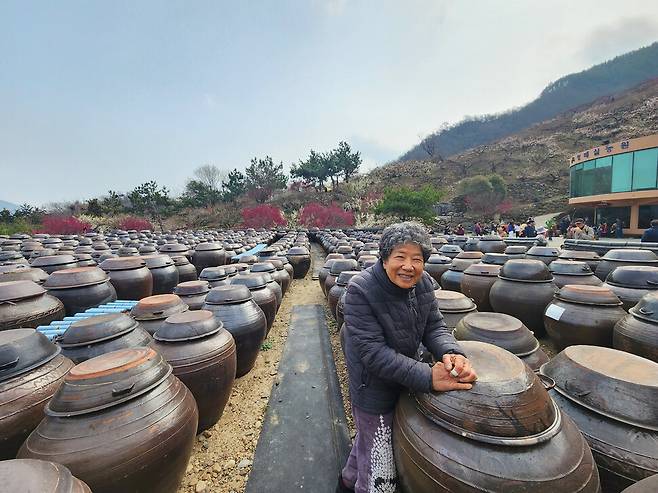 50여 년 동안 매화나무를 가꾼 청매실농원의 홍쌍리 명인.