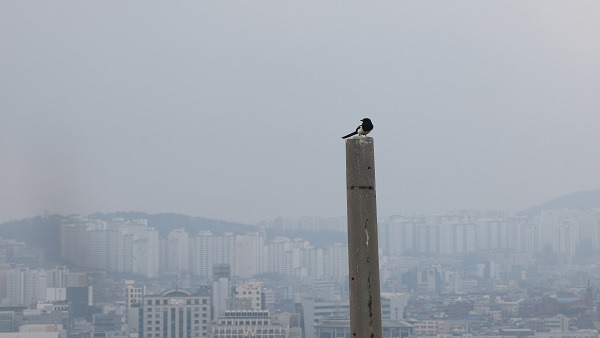 사진제공: 연합뉴스