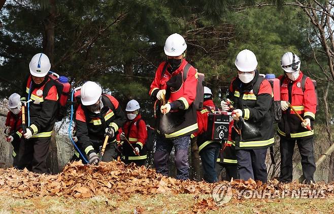 산불 대비 철저하게 [연합뉴스 자료사진]