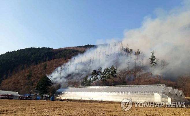 평창 산불 바람 타고 확산 중 (평창=연합뉴스) 18일 오후 4시 38분께 평창군 진부면 신기리 인근에서 난 산불이 바람을 타고 확산하고 있다. 산림 당국과 소방은 주변에 거주하는 민가 3가구 주민들을 대피시키고 민가 방어 및 산불 진화작업을 하고 있다. 2023.3.18 [강원도소방본부 제공.재판매 및 DB 금지] jlee@yna.co.kr