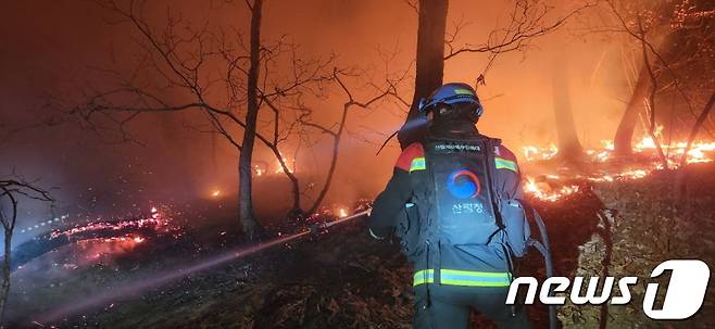 산림청 중앙산불방지대책본부는 16일 오후 경북 상주 외남면 흔평리 산 일대에서 발생한 산불 진화작업이 오후 11시 기준 43％ 진행됐다고 밝혔다. 산림당국은 야간진화 체계로 전환하여 산불진화장비 97대, 산불진화인력 총 1,218명을 투입하여 진화작업 중이라고 발표했다. 사진은 이날 현장에서 야간 진화작업 중인 대원들. (산림청 제공) 2023.3.16/뉴스1
