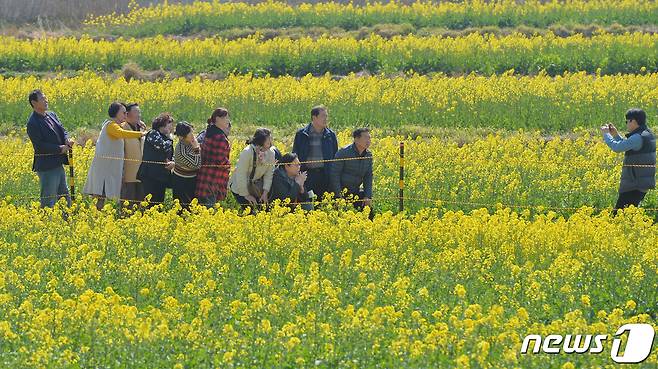 19일 오후 경북 포항시 남구 호미곶면 새천년광장 유채꽃 밭을 찾은 관광객들이 봄을 느끼고 있다.2023.3.19/뉴스1 ⓒ News1 최창호 기자