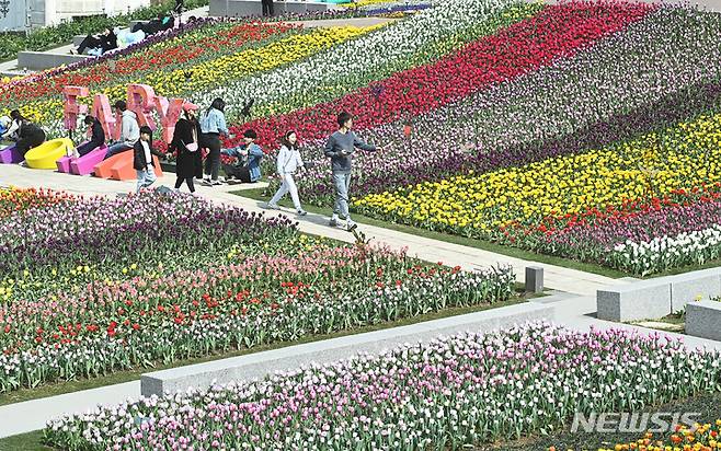 [용인=뉴시스] 김종택 기자 = 19일 경기도 용인 에버랜드 페어리타운을 찾은 시민들이 활짝 핀 튤립 꽃길을 거닐며 봄기운을 만끽하고 있다. 2023.03.19. jtk@newsis.com