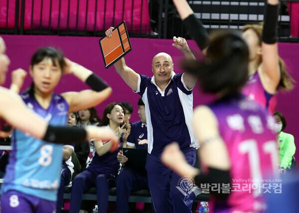 흥국생명 아본단자 감독.