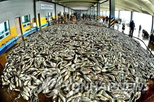 방어진 위판장 전경 [울산시 동구 제공]