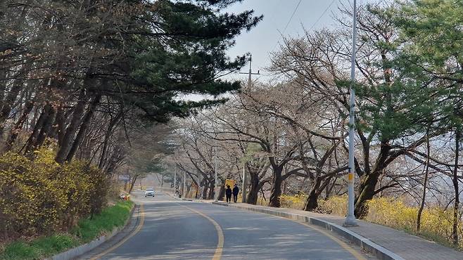 ‘우암산 둘레길’이 들어설 청주 우암산 순환도로. 우암산 자락에 조성된 이 길은 청주 시내가 한눈에 보인다. 오윤주 기자