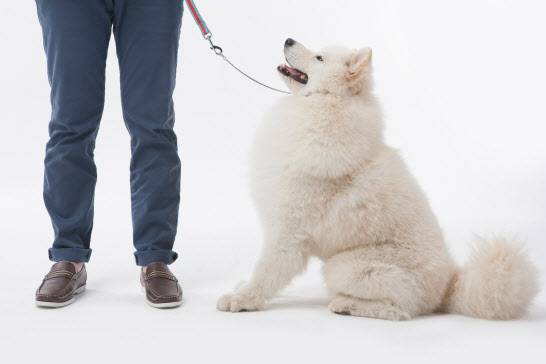 (사진=이미지투데이)