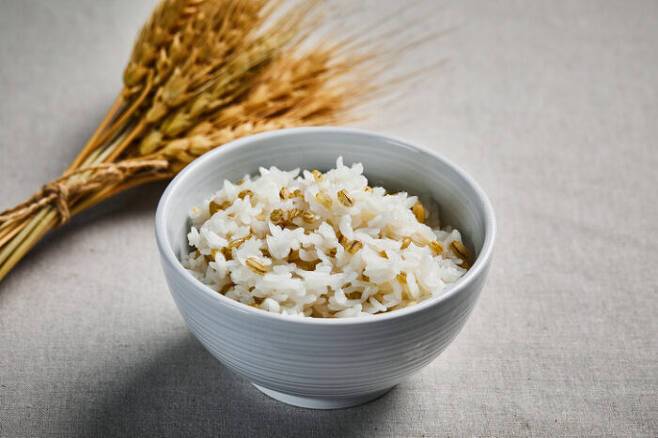 과거 서민들이 즐겨 먹던 보리가 건강효과 덕분에 요즘 귀한 건강식이 됐다. [사진=게티이미지뱅크]