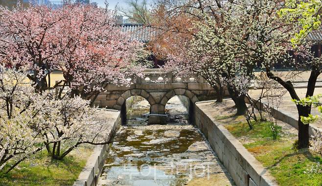 창경궁 옥천교 어구 일원