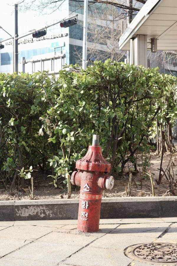 R50으로 촬영한 사진 (사진=정병연 기자)