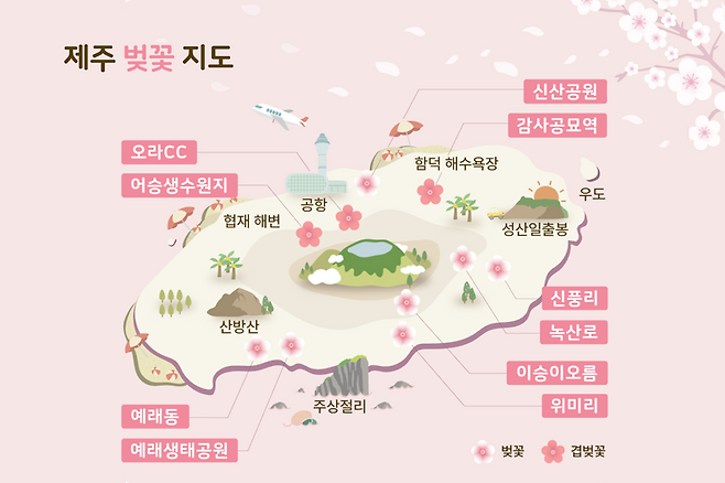 제주벚꽃지도 제주패스 제공