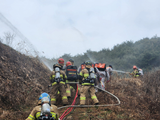 23일 경기도소방재난본부와 양평소방서가 용문산 일원에서 합동으로 진행한 산불 대응 훈련에서 소방대원들이 동력소방펌프로 계곡물을 끌어 소방용수로 활용하고 있다. 황선주기자