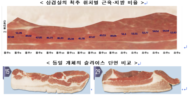 돼지고기의 부위별 지방함량 비율. 농식품부 제공