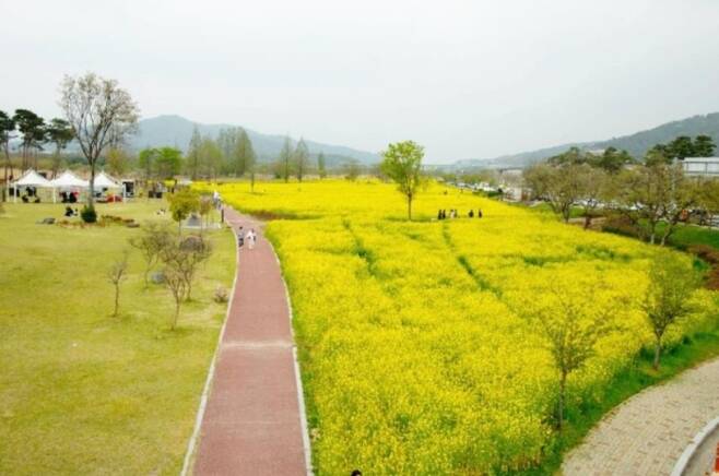 ▲황룡친수공원 사진 : 광산구 공식블로그