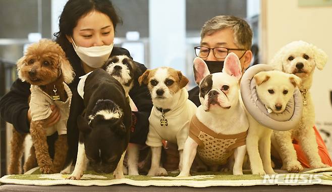 [수원=뉴시스] 김종택 기자 = 국제 강아지의 날인 23일 오후 경기도 수원시 팔달구 경기도 반려동물 입양센터에서 관계자들이 새 주인을 기다리고 있는 강아지들을 돌보고 있다. 국제 강아지의 날은 모든 강아지를 사랑하고 유기견 입양문화를 정착하자는 취지로 제정됐다. 2023.03.23. jtk@newsis.com