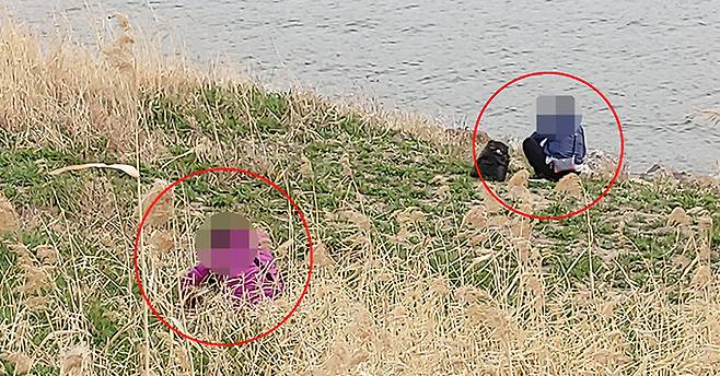 23일 오후 서울 이촌동한공원 풀숲에서 시민들이 봄나물을 캐고 있다.