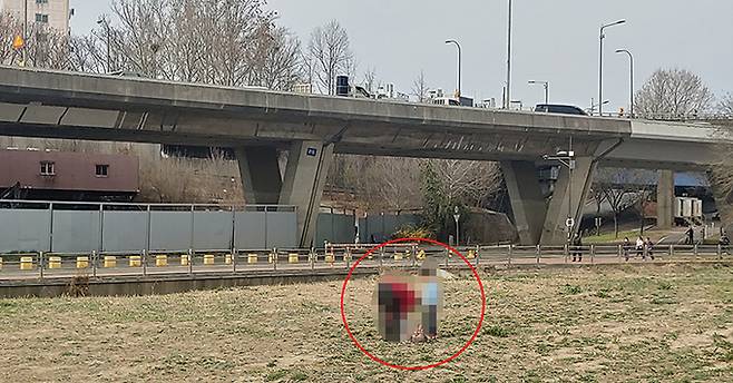 지난 23일 오후 강변북로 아래에서 한 시민이 아이들과 봄나물을 캐고 있다.