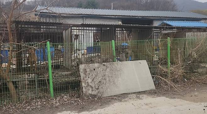 경기도 광주시 육견농장. (사진 제공:경기도 민생특별사법경찰단)